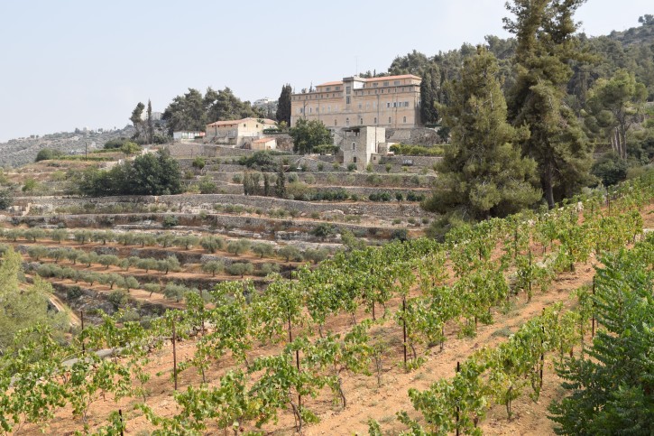 This September 2015 photo shows the Cremisan Monastery and vineyards in Bethlehem. The winery uses local grapes to make fine wines at the site of an ancient church and also hosts tours. Local Palestinian Christians and Muslims work together in the vineyards. (Kevin Begos via AP)