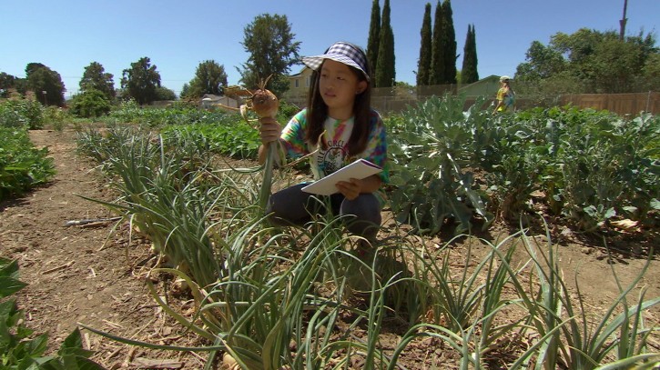 This undated photo provided by Kikim Media shows a camper at Full Circle Farm in Sunnyvale, Calif., from a scene in the documentary film, In Defense of Food," on PBS. The film is based on Michael Pollan's book, "In Defense of Food," and premieres on PBS on Dec. 30, 2015. (Jon Else/Kikim Media via AP)