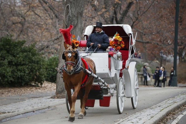 FILE - A horse-drawn carriage is seen going through Central Park  in New York December 1, 2014.  REUTERS/Shannon Stapleton 