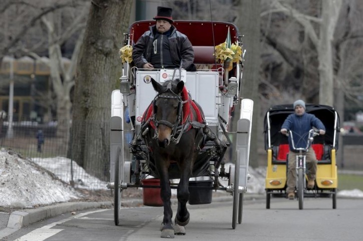 A horse drawn carriage is followed by a pedicab through Central Park in the Manhattan borough in New York, February 4, 2016. REUTERS