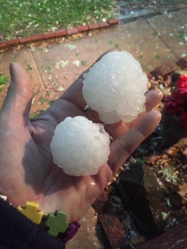 Susan Goodwyn holds hail in her hand Tuesday, April 26, 2016, in Wichita, Kan. The National Weather Service was warning of the possibility of hail as big as grapefruits in some areas on Tuesday amid storms in parts of the central and eastern U.S. Some smaller hail  the size of quarters or smaller  had been reported in Illinois, Indiana, Kansas, Missouri, Oklahoma, Ohio and Texas as of Tuesday afternoon. (Susan Goodwyn/SMGPhotos via AP)