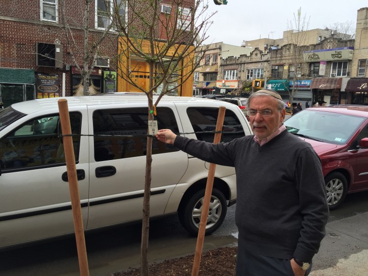 Brooklyn, NY – No Trees Please, Says Hikind