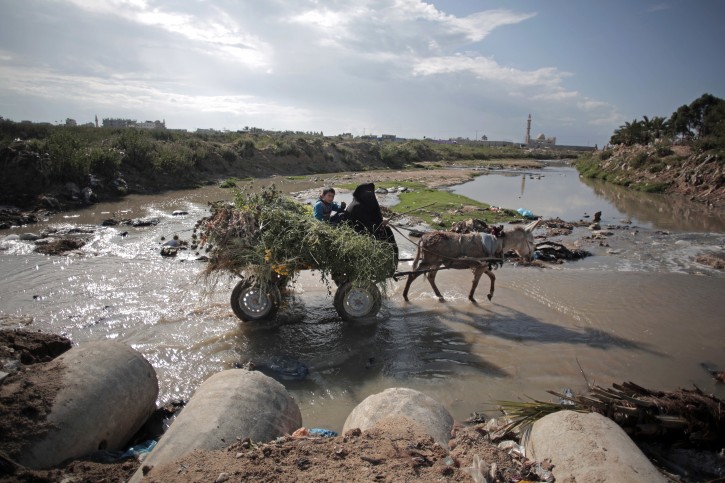 In this Wednesday, April 13, 2016 photo, A woman makes her way with her donkey in sewage water in Mighraqa neighborhood on the outskirts of Gaza City. Each day, millions of gallons of raw sewage pour into the Gaza Stripâs Mediterranean beachfront, spewing out of a metal pipe and turning miles of once-scenic coastline into a stagnant dead zone. The sewage has damaged Gazaâs limited fresh water supplies, decimated fishing zones, and after years of neglect, is now floating northward and affecting Israel as well, where a nearby desalination plant was forced to shut down, apparently due to pollution. (AP Photo/Khalil Hamra)