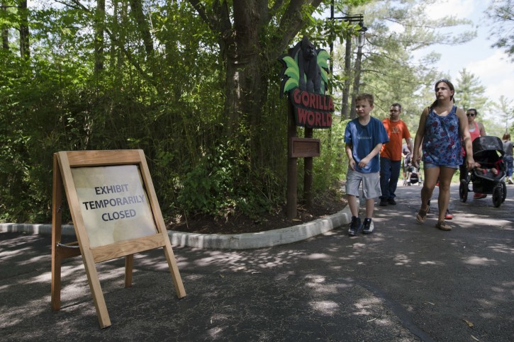 Visitors pass outside the shuttered Gorilla World exhibit at the Cincinnati Zoo & Botanical Garden, Sunday, May 29, 2016, in Cincinnati. On Saturday, a special zoo response team shot and killed Harambe, a 17-year-old gorilla, that grabbed and dragged a 4-year-old boy who fell into the gorilla exhibit moat. Authorities said the boy is expected to recover. He was taken to Cincinnati Children's Hospital Medical Center. (AP Photo/John Minchillo)