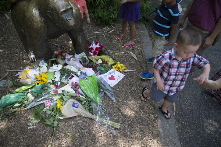 A boy is led away after putting flowers beside a statue of a gorilla outside the shuttered Gorilla World exhibit at the Cincinnati Zoo & Botanical Garden, Monday, May 30, 2016, in Cincinnati. A gorilla named Harambe was killed by a special zoo response team on Saturday after a 4-year-old boy slipped into an exhibit and it was concluded his life was in danger. (AP Photo/John Minchillo)