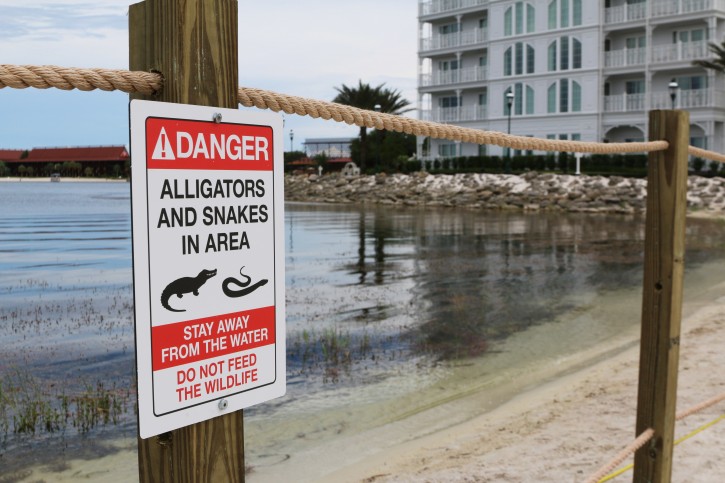 In this Friday, June, 17, 2016 photo released by Walt Disney World Resort, a new sign is seen posted on a beach outside a hotel at a Walt Disney World resort in Lake Buena Vista, Fla. Private family services have been scheduled  for a 2-year-old Nebraska boy killed by an alligator at Disney World. Authorities say an alligator pulled Lane Graves into the water last Tuesday, June 14, 2016, despite the frantic efforts of his father. Lane's body was recovered Wednesday. (Walt Disney World Resort via AP)