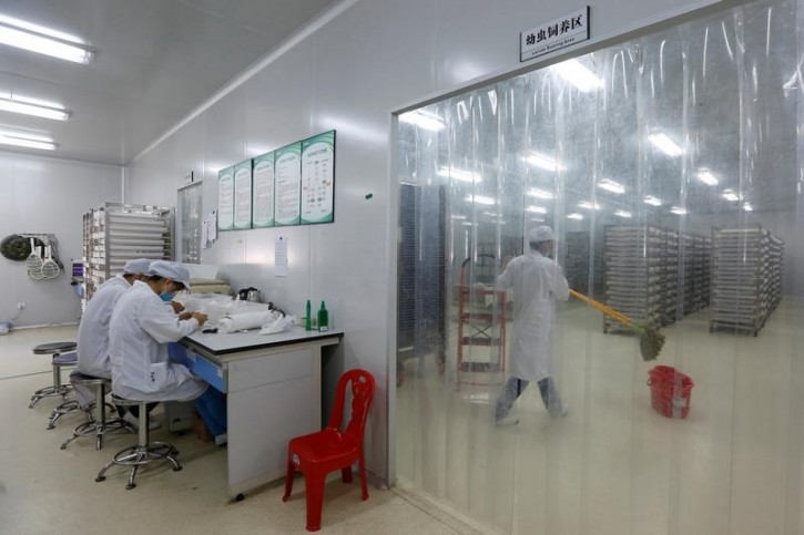 A lab technician cleans the floor of an area with trays containing mosquito larvae inside Sun Yat-Sen University-Michigan State University Joint Center of Vector Control for Tropical Disease, the worlds largest 