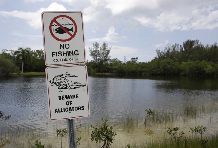 FILE - A sign posted next to a small lake at Matheson Hammock Park warns of potential alligators, Wednesday, June 15, 2016, in Miami.(AP Photo/Lynne Sladky)