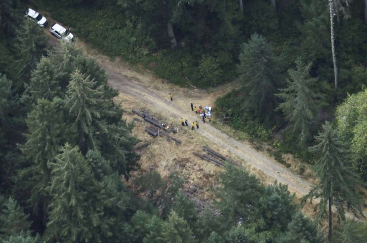 Workers gather in a staging area Saturday, Aug. 11, 2018, near Steilacoom, Wash., near the site on Ketron Island in Washington state where an Horizon Air turboprop plane crashed Friday after it was stolen from Sea-Tac International Airport. Investigators were working to find out how an airline employee stole the plane and crashed it after being chased by military jets that were quickly scrambled to intercept the aircraft. AP