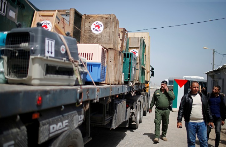A truck carrying crates containing animals leaves Gaza after the animals were taken out of a Gaza zoo by FOUR PAWS organization, at Israeli Erez crossing in the northern Gaza Strip April 7, 2019. REUTERS/Mohammed Salem